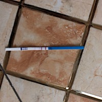 没有任何准备，悄无声息的来了