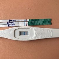 连续5天测出来，都是这样，到底是怀了还是没怀，真崩溃，～印子都是出现在15分钟后