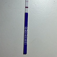 末次6.8，月经周期28天，7.2晚早早孕试纸意念灰，7.4早反应线明显红色，7.5早测的和7.4差不多，7.5晚上...