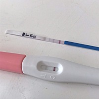 这个是不是怀孕了呀。我一直在纠结。初次怀孕很紧张