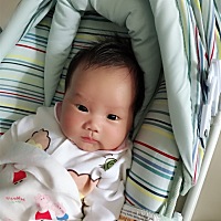 才一个月，好累哦