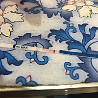 备孕了两个月 叶酸吃了一个月了 六月十二号最后一次月经 23号排卵 月经推迟了三天 测了一下 一红一白 是...