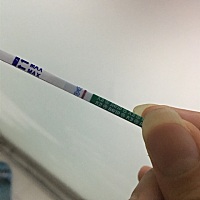 这是啥情况，到底看哪里？