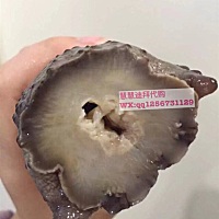 超适合小孩子吃的海参粥❤️❤️ 刺参泡发好加入胡萝卜肉碎小米和大米煲如果要调理小孩子肠胃还可以加入...