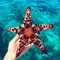 当你觉得有一段路特别特别累，特别特别辛苦的时候 你就想象十年后的自己回过头来看这一切，就会觉得好很...