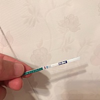 大家帮我看看是意念灰还是怀孕了