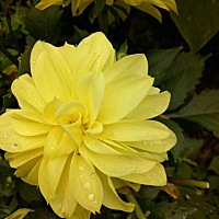 🌸❥⇢Good morning…… 🌻 想要成为更好的自己，请先激发自己的潜能。缩在自己的小世界里追求所谓...