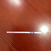 心好累 今天排卵了 希望这个月会顺利怀宝宝👩👶 大家说说 排卵期 哪个时间段同房怀孕几率大