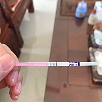 今天排卵日 刚刚测的