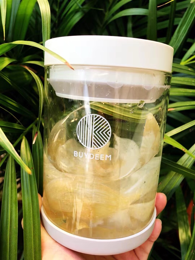 刚刚开始泡发！