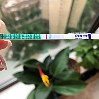 宝妈们，我的正常月经期是10号，今天9号测的，这样表示有怀孕吗？今天白带成褐色