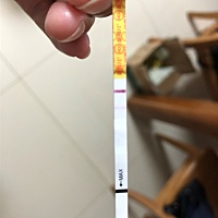 各位看看是怀孕了吗?