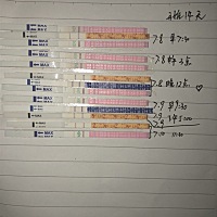 排卵试纸连续5天强阳。怎么回事？测了zzy白板。末次月经6.25—27号。7.2 7.4 7.6 7.8相隔两天同房一次。...