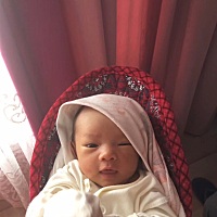 十三天的小妞子。