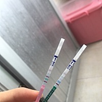 一直胸疼好几天，今天早上突然想到测个。就出现了下图这情况 粉色排卵显示强阳。早早孕弱阳。