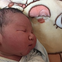 昨天上午九点钟剖腹产生下一个8.2斤的大胖儿子！