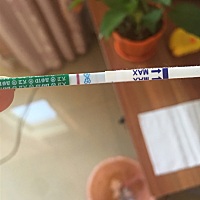 连续测了两天都是这种很淡的颜色，这是怀上了吗？月经已经推迟12天了