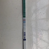 大家帮我看看，今天早上测的，今天是同房后12天。谢谢