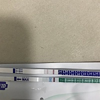 6.16末次月经 4号排卵 4号5号都有功课 今天查排卵和早孕如图 上面是排卵 下面是早孕  排卵比较明显 早孕...