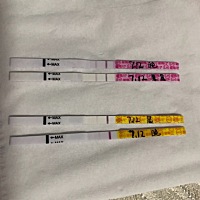 红的是排卵试纸，黄的是早孕试纸，这是显示怀了？？？不会咋胡吧