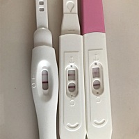 请问这是怀孕了吗