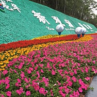有没有大神会取名字的呀