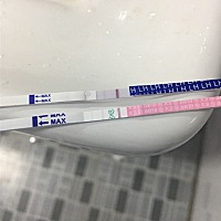 有没有孕妈排卵期连续几天测都是这样的，这个是没排卵吗？好着急