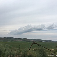 美丽的大草原！