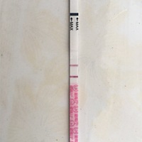 明天姨妈日，今天测到排卵试纸是这样的，有没有戏呀？各位小伙伴帮我看看