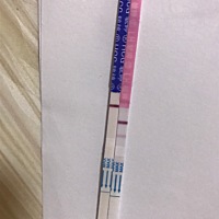 排卵日是7月4日 当天晚上安排了同房一次 13号晚上拉肚子一次 14号早上拉肚子一次 然后胃和腹部有点痛 14...