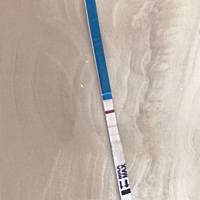 我明天大姨妈会到，今天测的，这是怀孕了吗？不会又白惊喜吧？