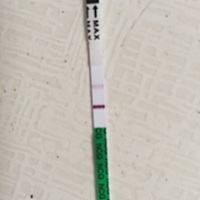 请问这是怀孕了吗？