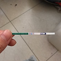 上月18号来的月经，23日结束，按道理本月月经是明天来，今天买试纸测试了一下，请问这是怀孕了吗？