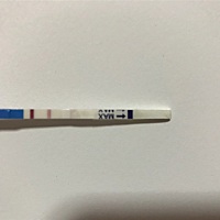 我是不是有了啊？刚测出来的，明天去医院验血。