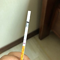 刚才照片心血来潮测了一下，想着备孕一个月了，试试吧，测出来这个结果，给老公说，老公竟然说这个试纸...