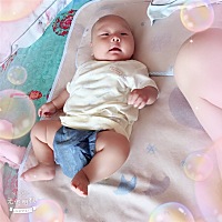 晚安宝贝！