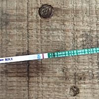 这个月备孕不小心有了