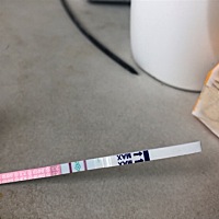 有没有测大卫排卵试纸的孕妈们，这样是不是要排卵了？