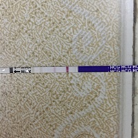 请问这样是怀孕了吗？