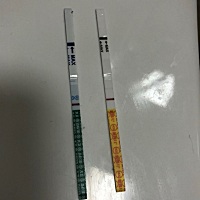 大家帮忙看下大卫有没有印？8号排卵 今天早上测的额 金秀儿会不会炸胡？是不是太浅了？