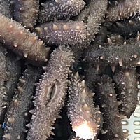 上条看了几位姐妹的回答，然后买了海参。燕窝淘宝一搜价格都不一样。不知道买哪的好，有姐妹知道的话请...