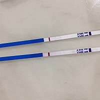 上面那根是今天早上验的，下面那根是晚上验的，想问问是不是怀上了？？？