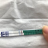 末次6.16 7月4号排卵  同房后第8天测到灰印 去验血结果不是  诈胡了 心情大起大落 哎 应该18号来姨妈到...