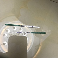 经期推迟十一天早晨测得大卫的不知道准不准