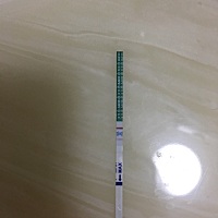 这样算怀孕了吗