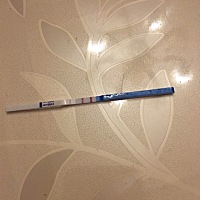 求宝妈们指点，这是怀上了吗？