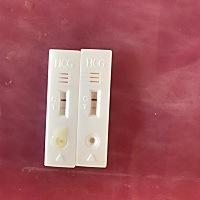 不知道有没有怀上🧐