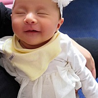 麻麻最爱的兔宝宝