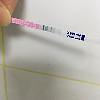 月经不调，吃能正常排卵啊