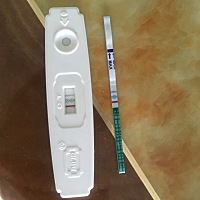 末次月经6.20，这个月20号没来大姨妈，21号中午就抱着试试的心理买了大卫的验孕棒和测纸，验孕棒是21号...